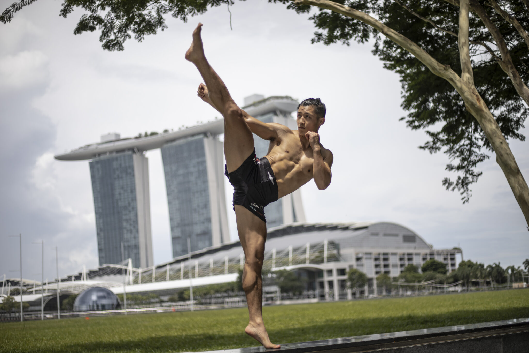 7 Critical Elements That Every Martial Artist Must Work On Evolve Daily