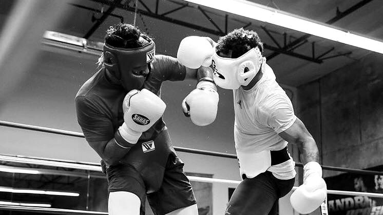 two boxers sparring