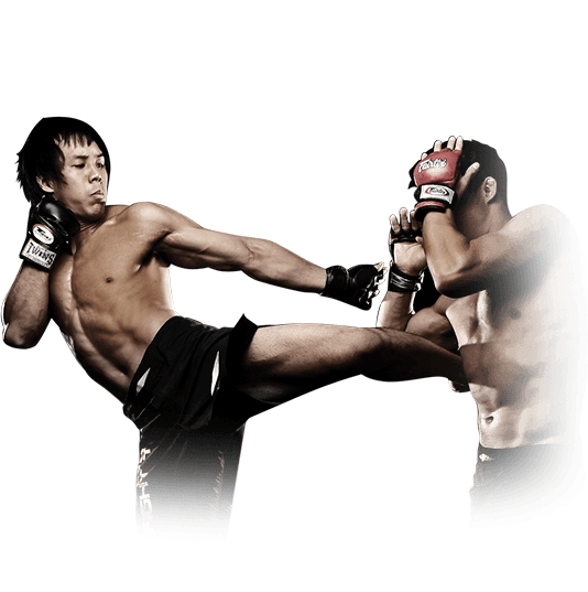 Fighters Program