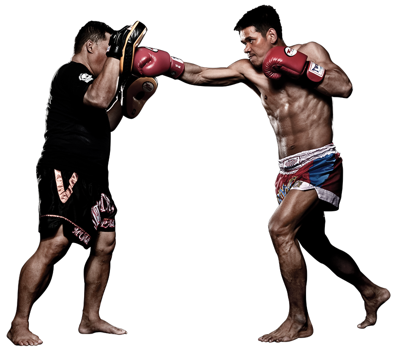 CLETO REYES Guantes de boxeo profesionales tradicionales con cordones para  entrenamiento, sparring y sacos de boxeo pesados para hombres y mujeres,  MMA, kickboxing, Muay Thai, 14 onzas, negro CRE : Todo lo demás 