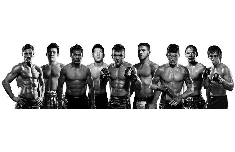 Fighters Program