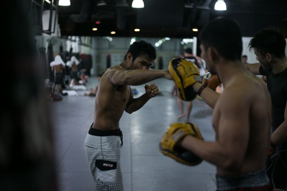 How to Double Your Punching Power - Evolve Daily