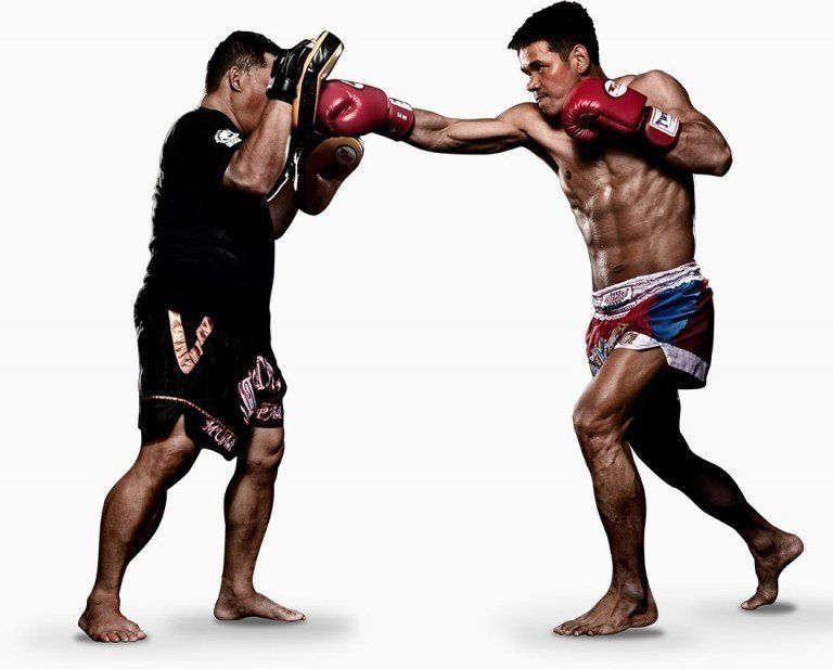 Evolve MMA Singapore Asia's 1 Mixed Martial Arts Gym