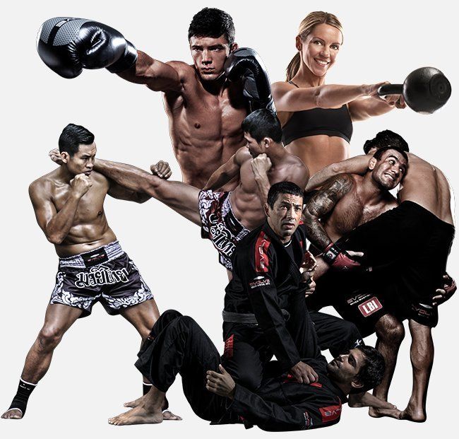 Evolve MMA Singapore Asia's 1 Mixed Martial Arts Gym