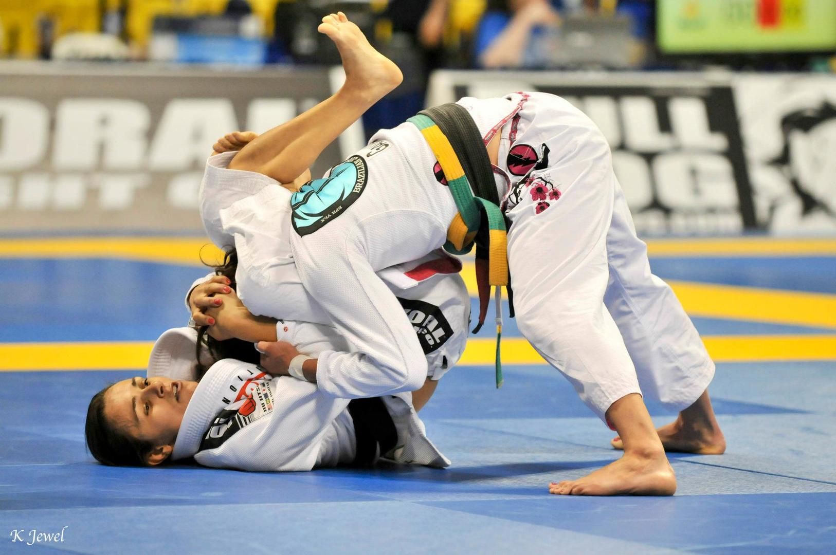 WATCH Top 5 Greatest Female BJJ Legends in History Evolve Daily