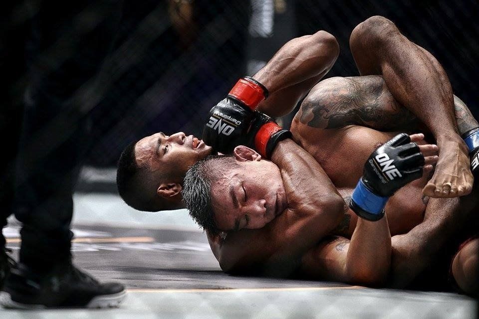 Standing Rear Naked Choke Finishes in UFC History 