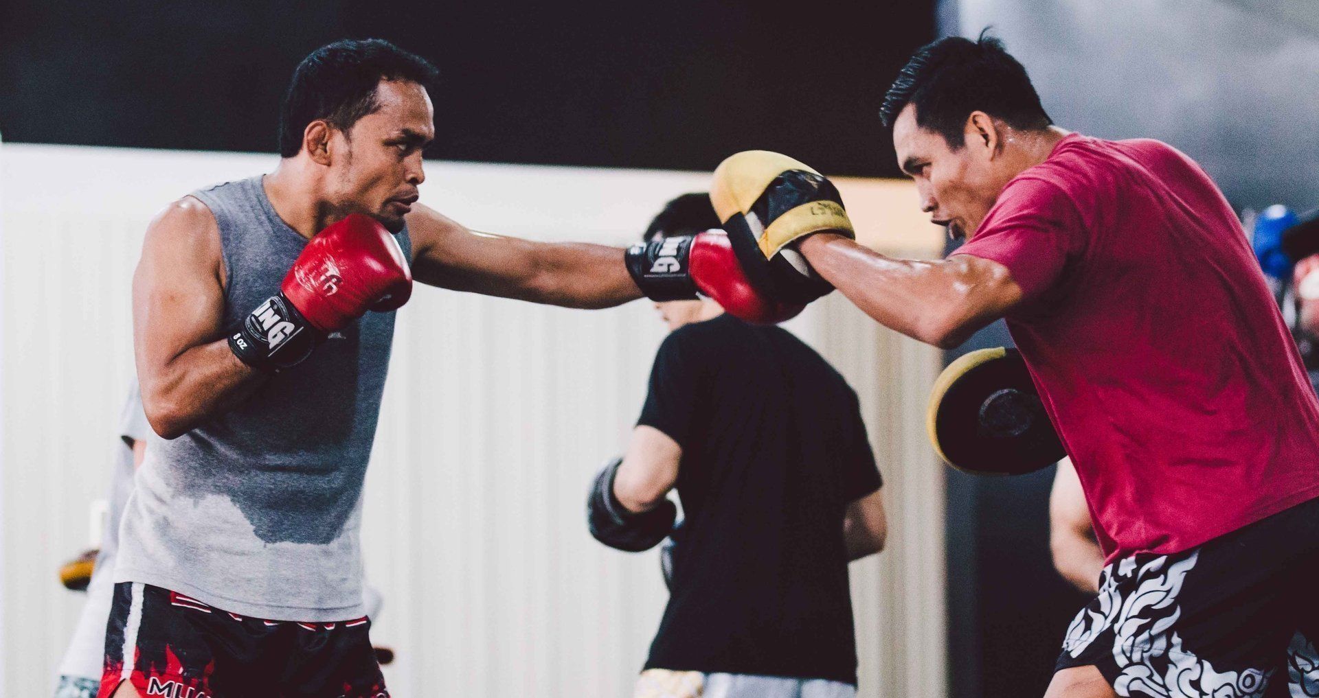 2x Pro Boxing Gloves Training Sparring Kick Gym Muay Strike Mitts Men Women US 