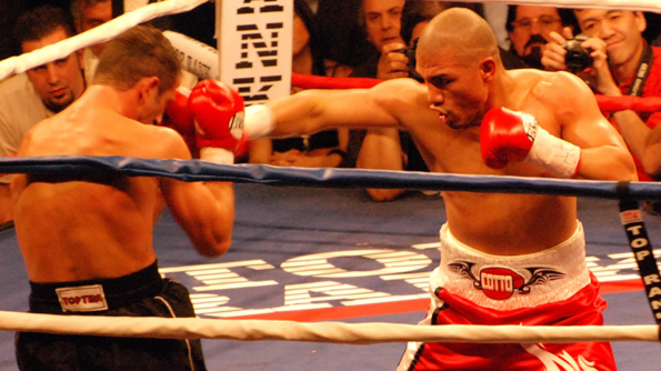 Gloves & punching bag  Initiation boxing, Métal boxe 