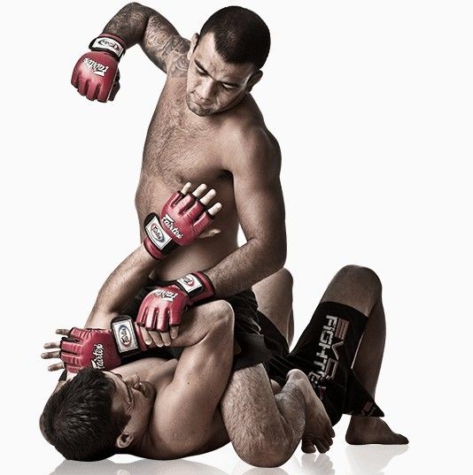 Mixed Martial Arts
