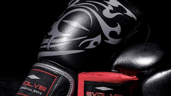 10 oz mma gloves