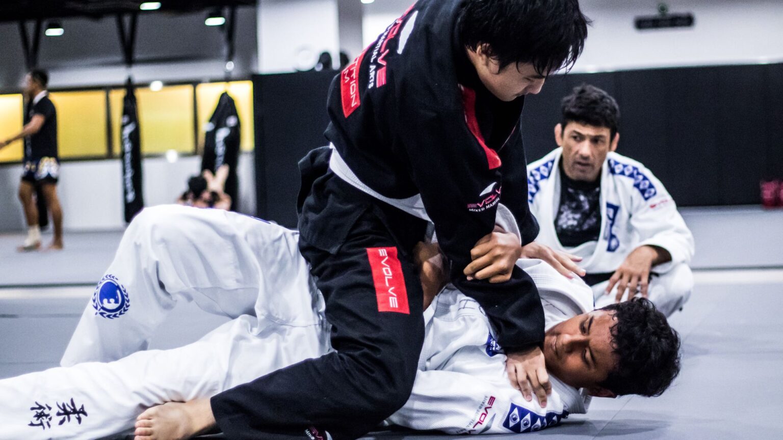 BJJ 101 The Mount Evolve Daily