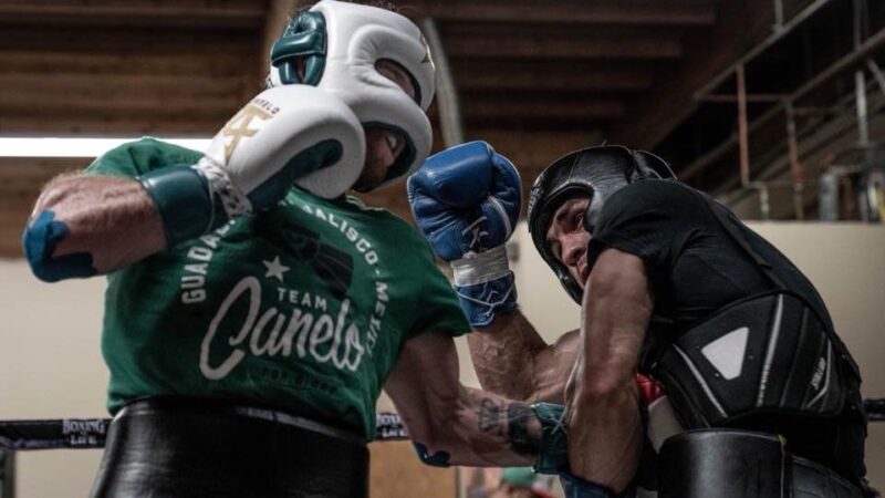 The Beginners Guide To Boxing Sparring 10 Things To Know Evolve Daily