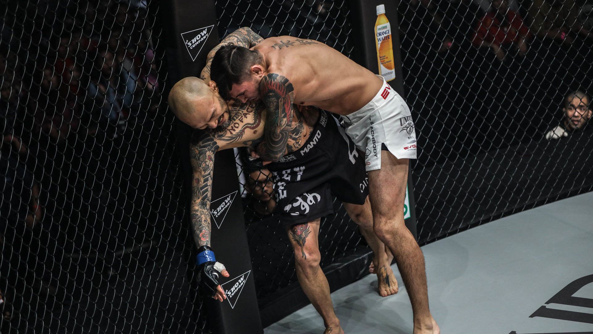 An Introduction To Clinching In MMA - Evolve University Blog