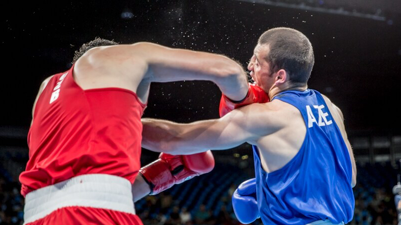 Knockout Photos, Images and Pictures