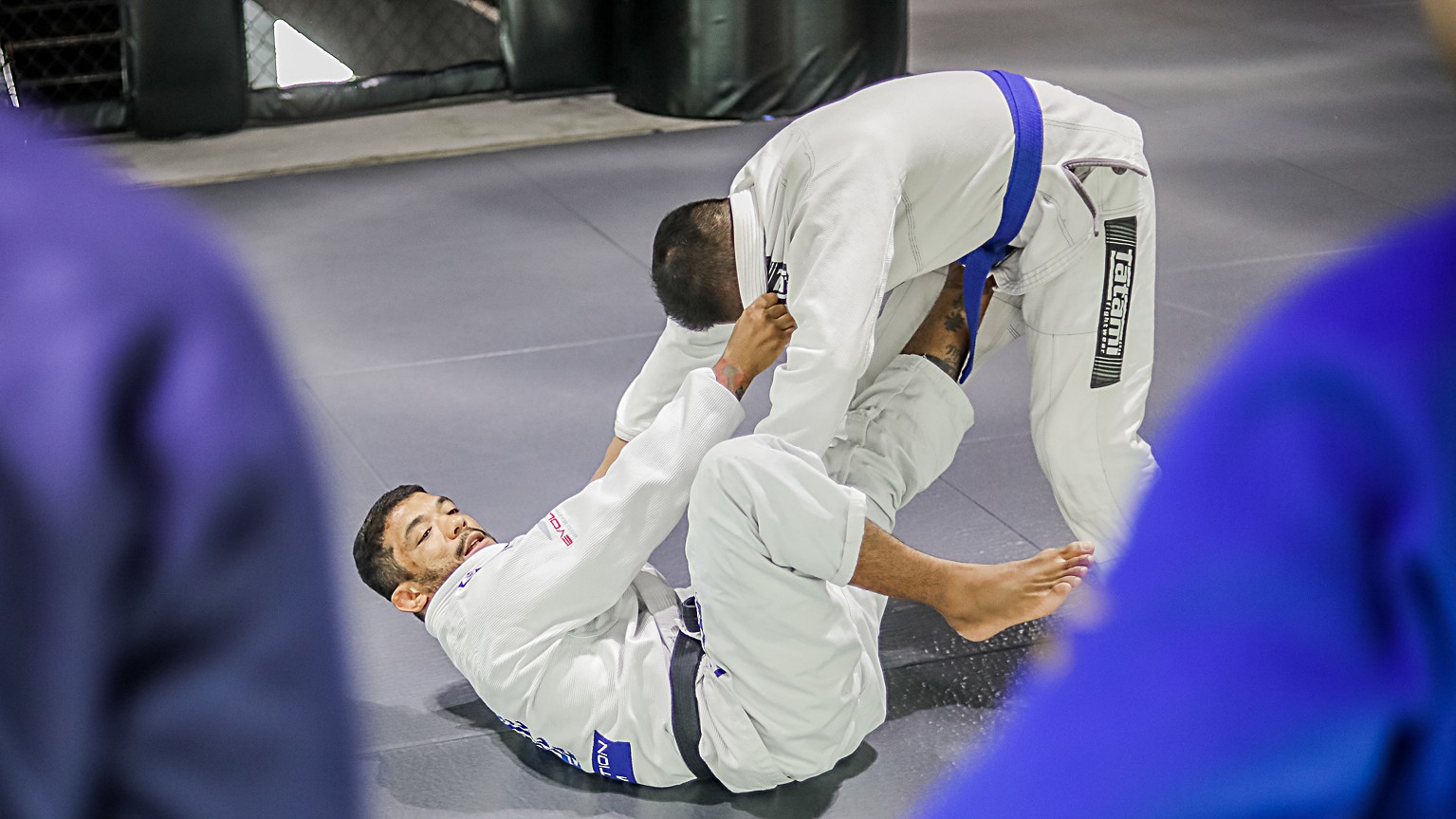 1 Difference between BJJ and luta livre : passing butterfly guard