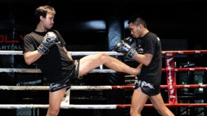 muay thai push kick