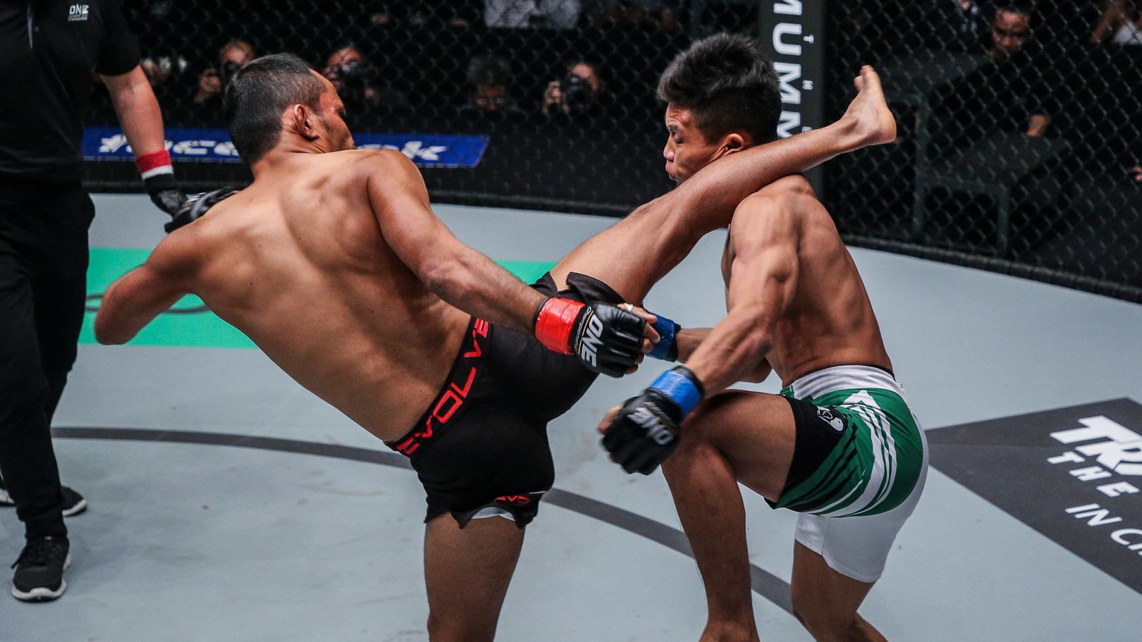 Muay Thai Shorts Boxing Fight Martial Arts UFC Grappling Cage Kick Top King 