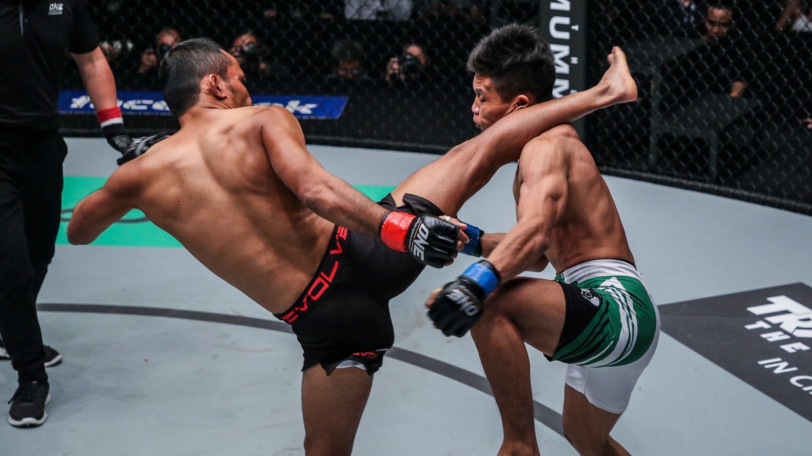 An Introduction To Clinching In MMA - Evolve University Blog