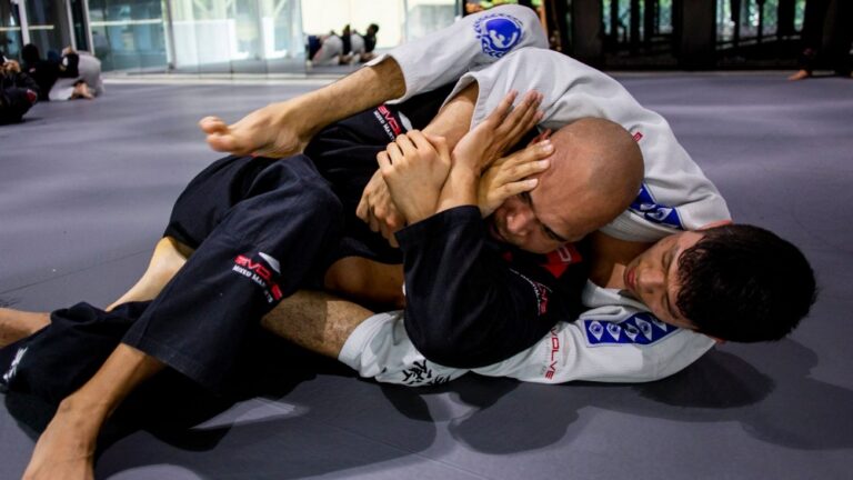 Bjj The Rear Naked Choke