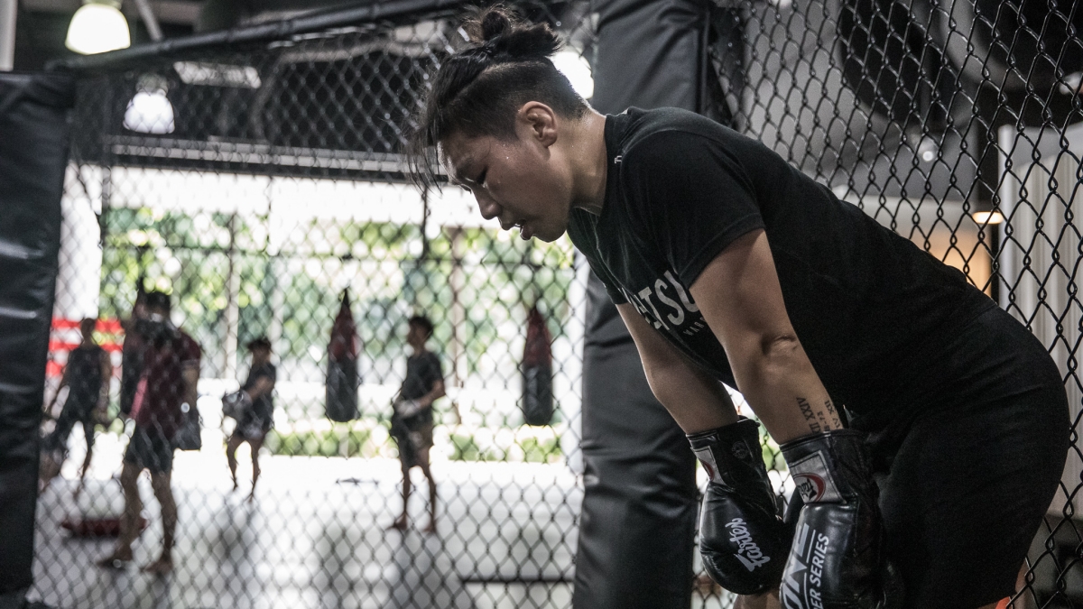 6 Reasons Why An MMA Training Session Is Better Than A Gym Workout Evolve Daily