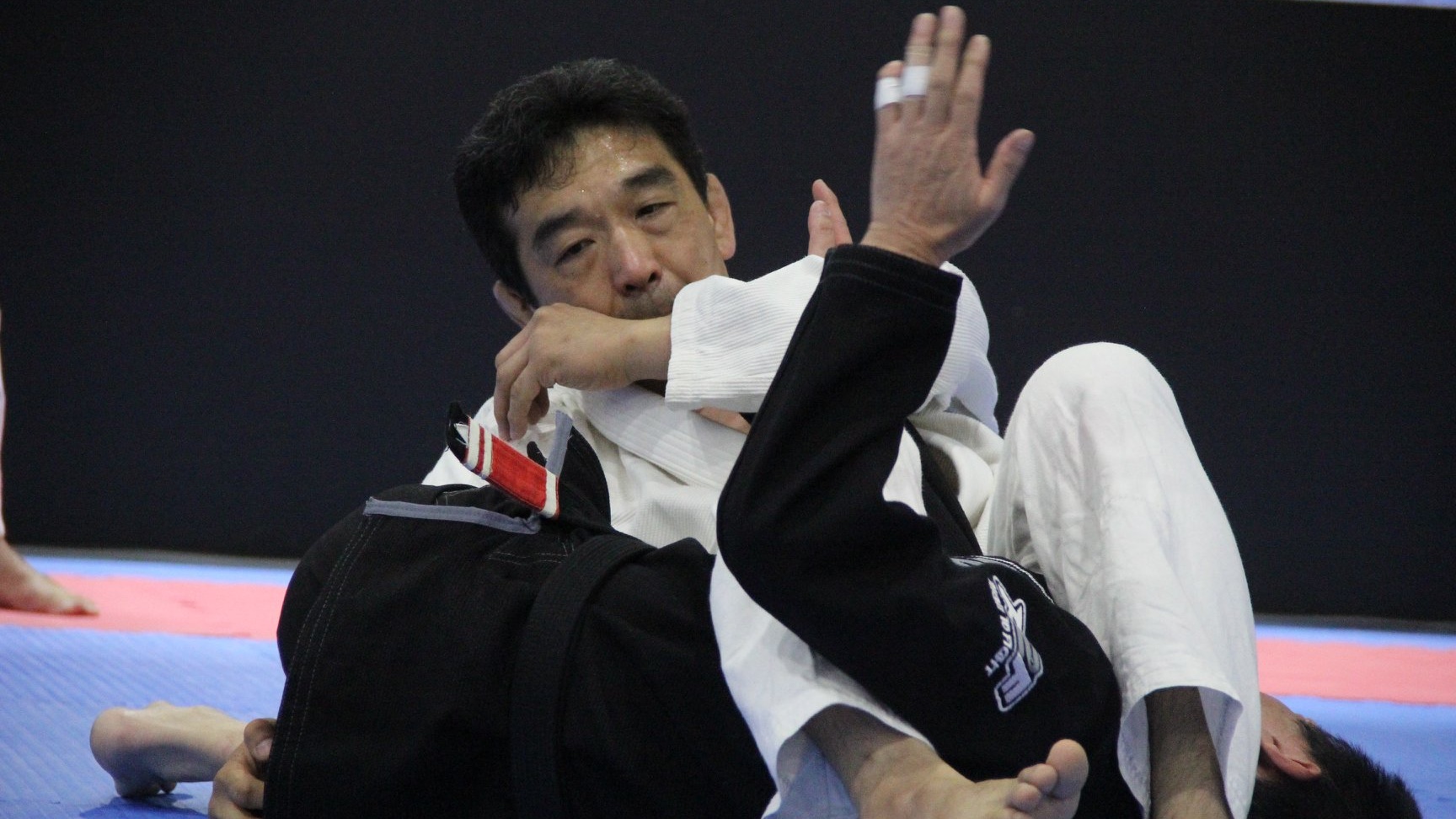 Top 5 Greatest Japanese BJJ Fighters In History | Evolve Daily
