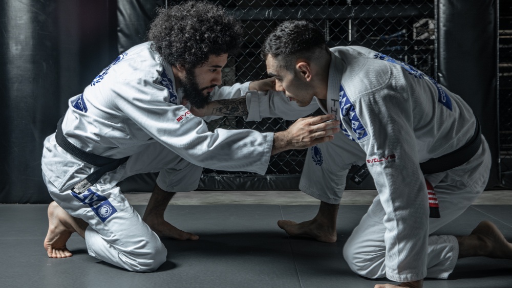 Brazilian jiu-jitsu: State of the art. A guide for Sports Medicine  Professionals - BJSM blog - social media's leading SEM voice