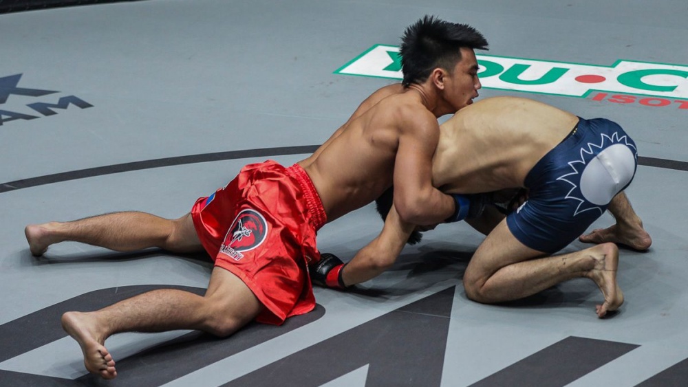 What Is Sprawling In MMA?