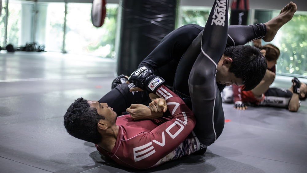 The Grapplers Guide – Dedicated 100% To Your Grappling Improvement