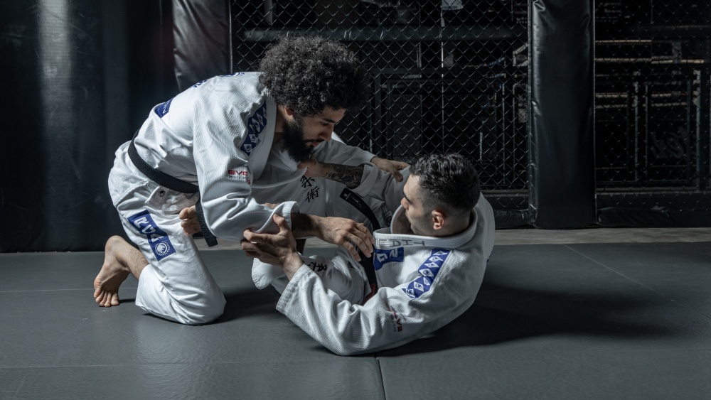 1 Difference between BJJ and luta livre : passing butterfly guard