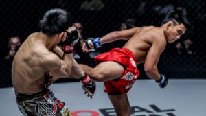 5 Unorthodox Strikes That Took MMA by Surprise