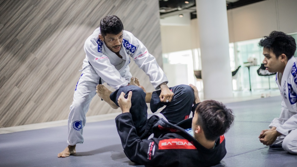 What Is The Toreando Pass In BJJ