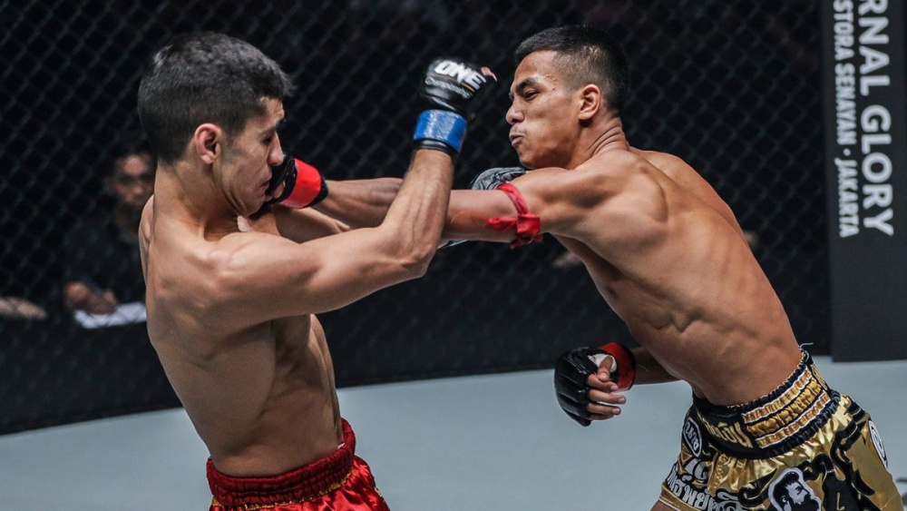 10 Muay Thai Knockout Targets You Need To Know - Evolve University