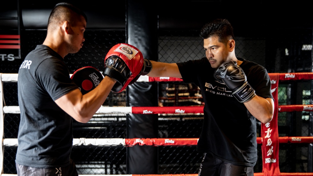 Focus Pad Hook & Jab Mitt Kick Boxing MMA Strike Punch Bag Kick Straight Pad 
