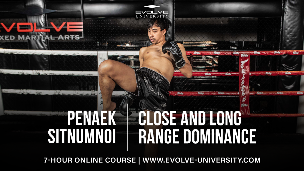 Understanding Inside And Outside Fighting In Muay Thai - Evolve University  Blog