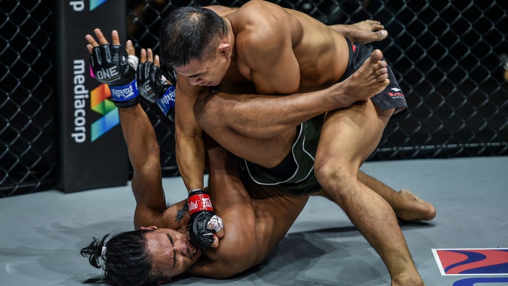 Luta Livre, MMA disciplines