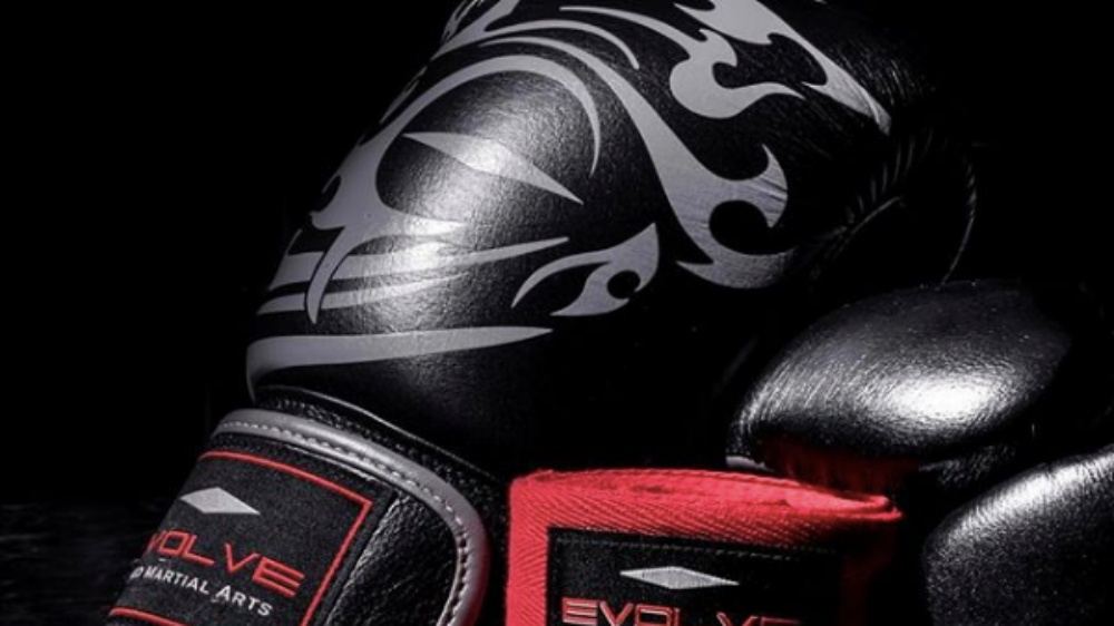 boxing/muay thai gloves