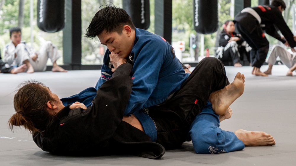 The First 10 Bjj Submissions You Should Learn 