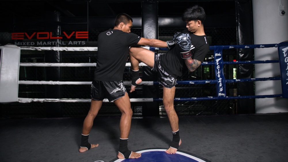 muay thai long guard