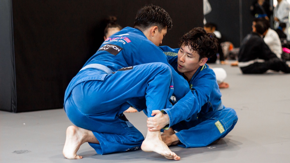 The Main Stylistic Differences Between Brazilian Jiu-Jitsu & Luta Livre