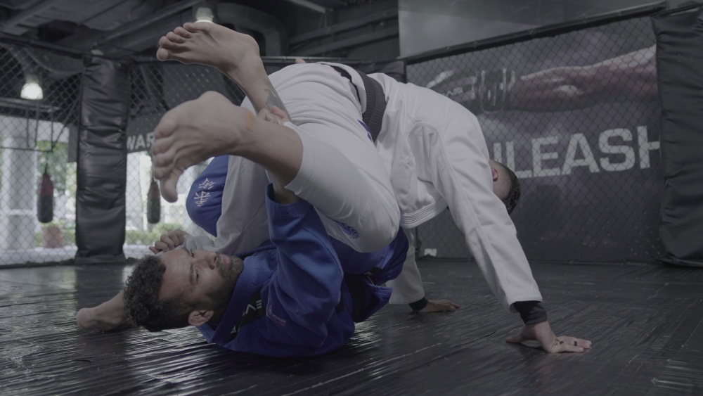 1 Difference between BJJ and luta livre : passing butterfly guard