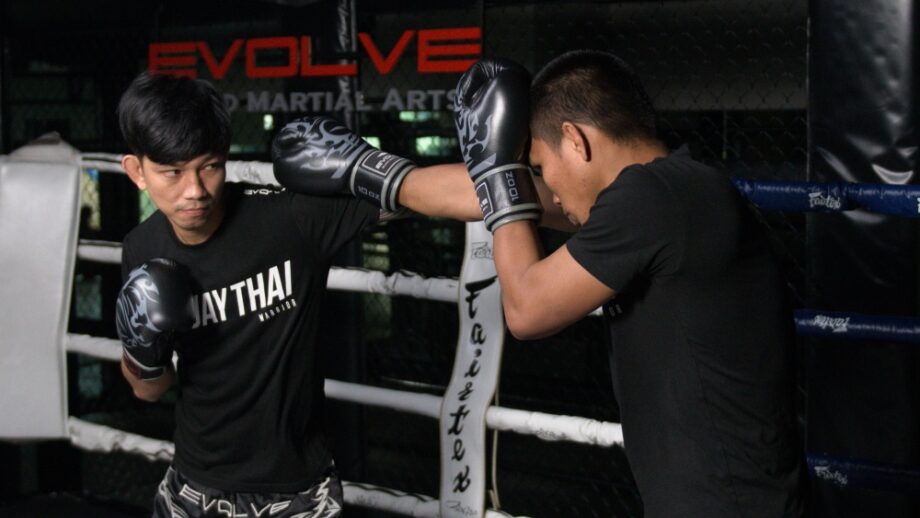 MUAY THAI DAILY visual data 6