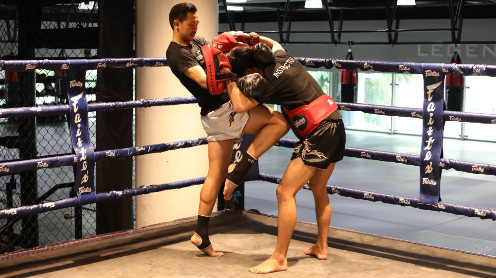 The Ultimate Guide To The Muay Thai Spear Knee | Evolve Daily