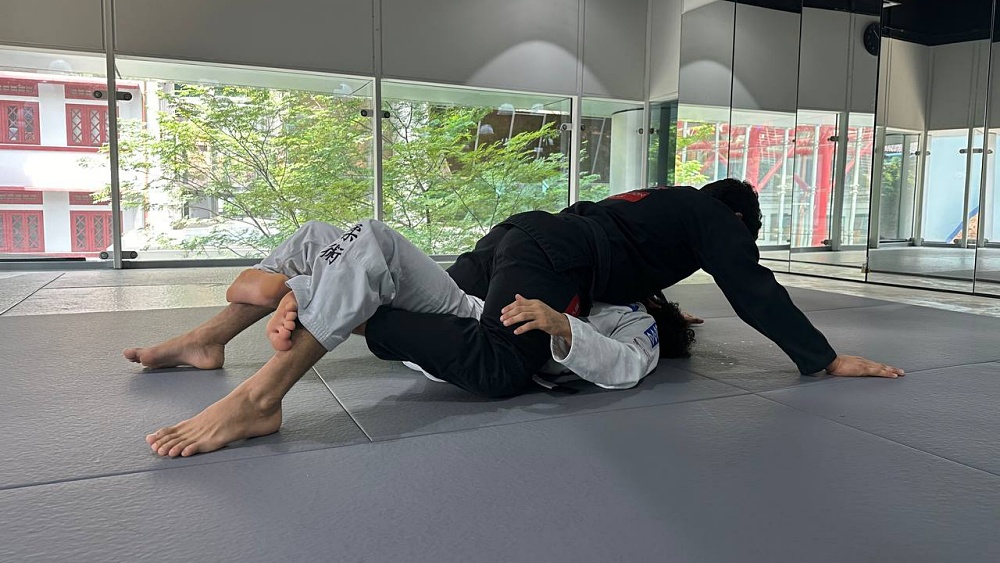 Using The Grapevine To Build A Crushing Mount Game In BJJ & MMA