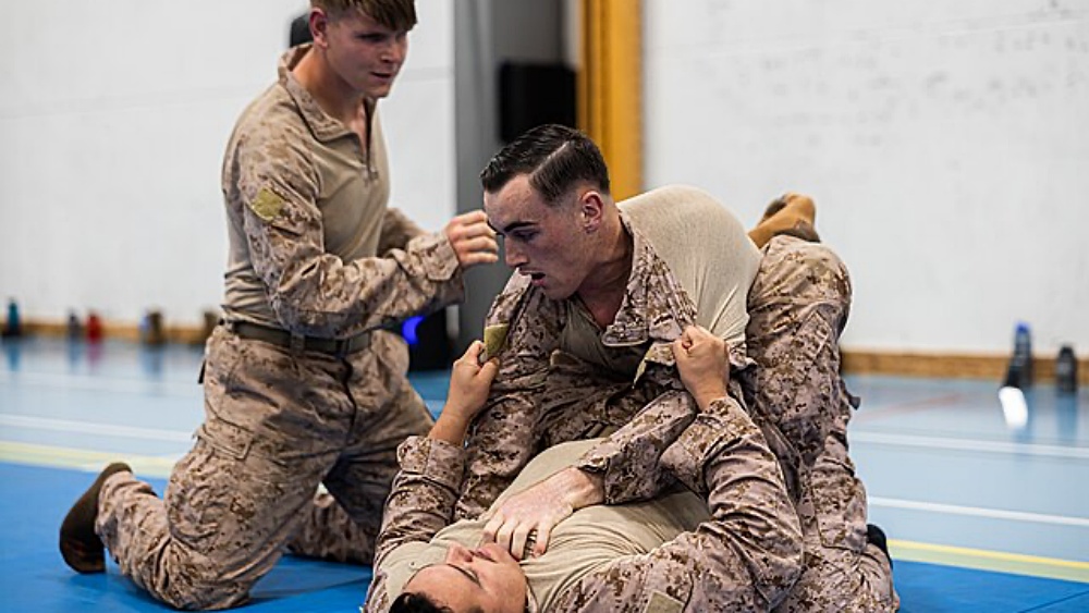 The Role Of Martial Arts In Military Training: Past And Present