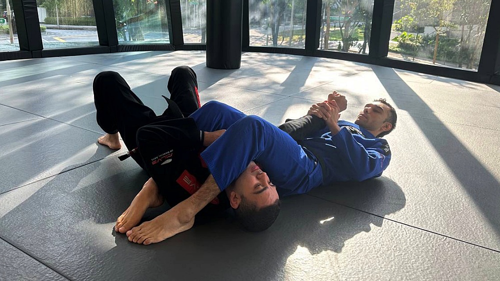 Breaking Down ‘Bar’ Submissions In BJJ: Armbar, Kneebar, Dogbar, And More
