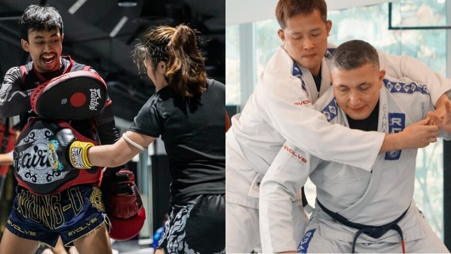 Mma Tree The Martial Arts Decision Tree: Which Discipline Should You Start With ...