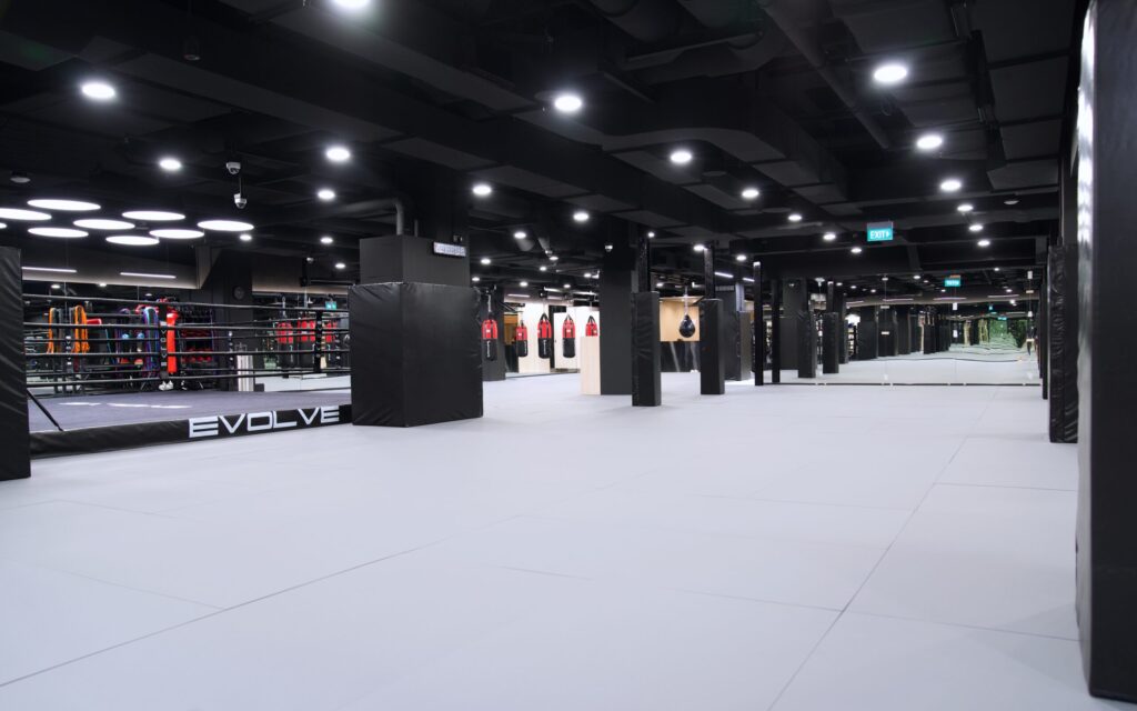 Evolve CBD Ring and Mats