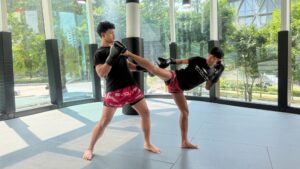 What Is The Snake Kick And Why Is It Effective For MMA