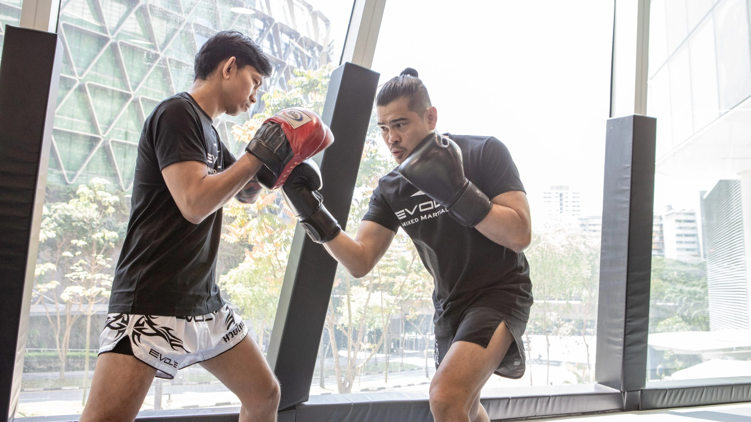 Boxing training at Evolve MMA