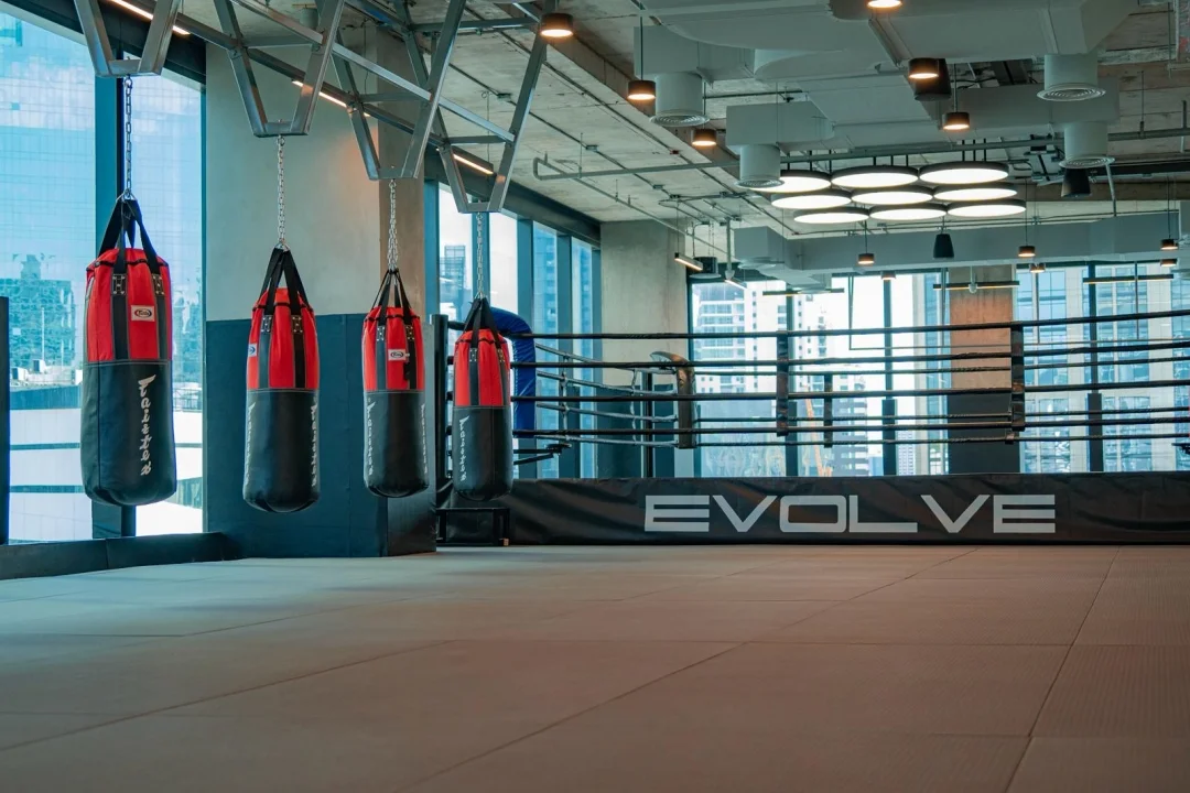 Evolve MMA (EmSphere) Martial Arts Classes